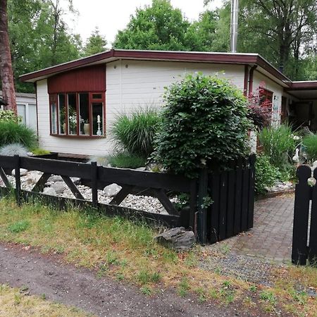 Villa Sfeervol, Ruim En Luxe Chalet In Bosrijke Omgeving à Diessen Extérieur photo
