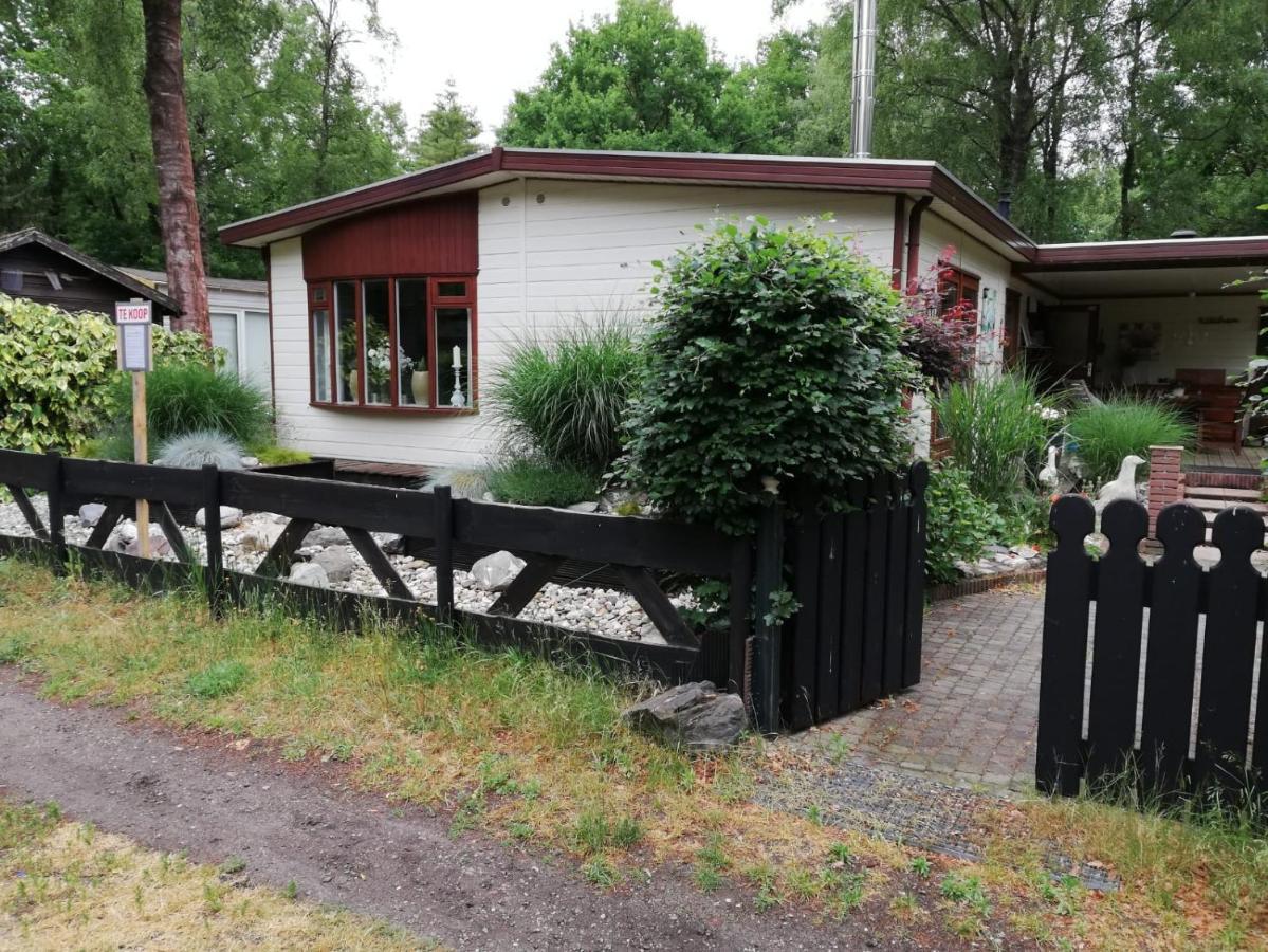 Villa Sfeervol, Ruim En Luxe Chalet In Bosrijke Omgeving à Diessen Extérieur photo